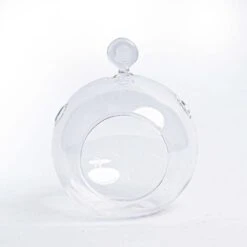 Glass Christmas Ball - Airplant And Reindeer Moss -URBAN INGL Shop 19811 kerstbal glas helder 825c7159 c57b 4212 999c 32e9acb6fafb