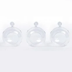 Glass Christmas Ball - Airplant And Reindeer Moss -URBAN INGL Shop 3x19811