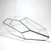 Geometric Terrarium - Plantasia - Vivarium ↑ 50 X 25 X 17,5 Cm (LxWxH) - Glass