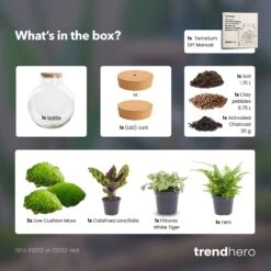 Bolder Bob - Terrarium With Light - Bottle Garden DIY Kit - Ø 31 Cm ↑ 30 Cm 12 Bolder Bob - Terrarium With Light - Bottle Garden DIY Kit - Ø 31 Cm ↑ 30 Cm -URBAN INGL Shop Bolder bob terrarium diy bottle garden