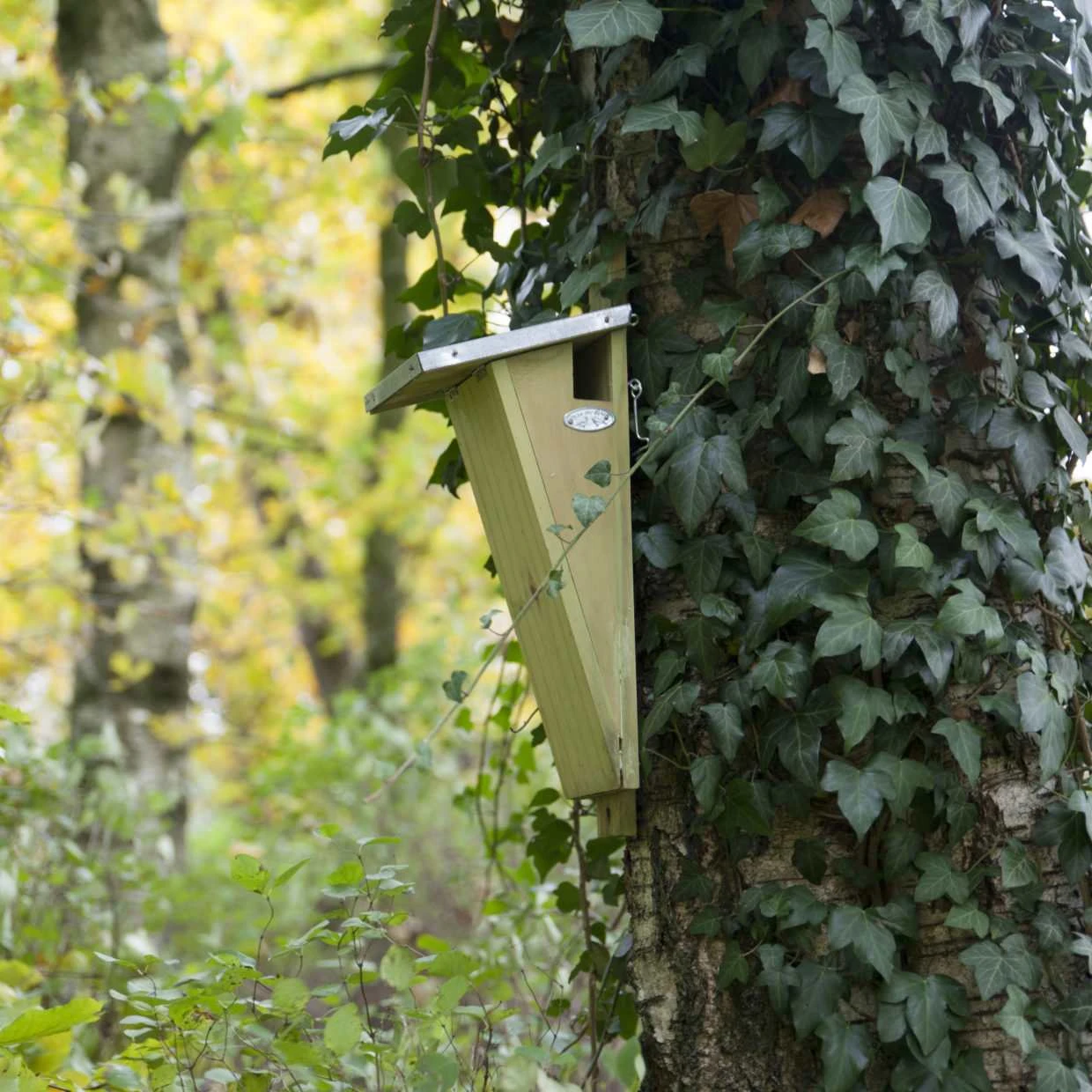 ESSCHERT DESIGN Treecreeper Birdhouse - Nesting Box - Garden Animals 5 ESSCHERT DESIGN Treecreeper Birdhouse - Nesting Box - Garden Animals - Image 3