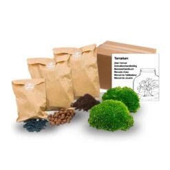 Terrarium Package – Refill & Starter Package – DIY Terrarium Kit – Size S/M 10 Terrarium Package – Refill & Starter Package – DIY Terrarium Kit – Size S/M -URBAN INGL Shop DIY REfill Kit Size s m Mini Refill