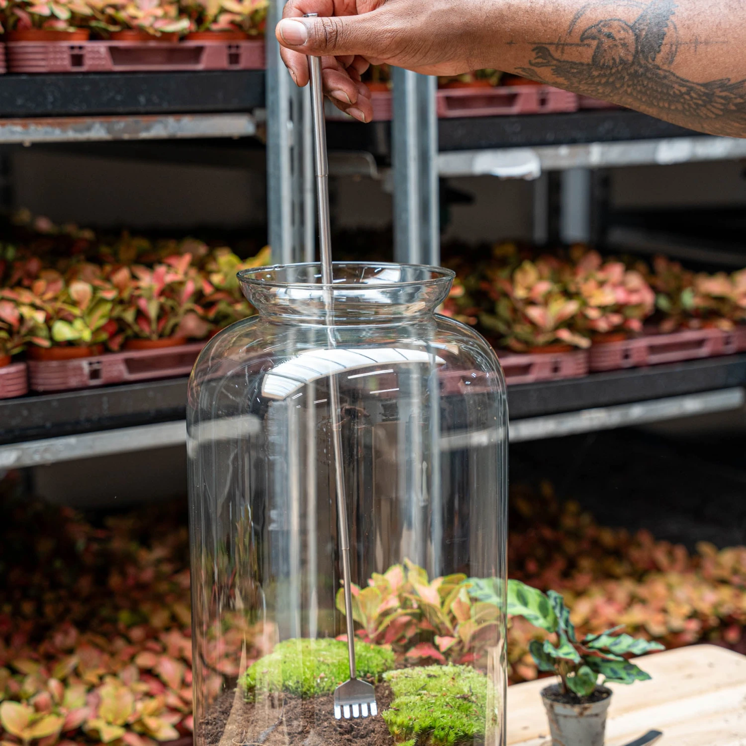 Terrarium Tool - Rake - 16-49 Cm - Telescopic - Stainless Steel 7 Terrarium Tool - Rake - 16-49 Cm - Telescopic - Stainless Steel - Image 5