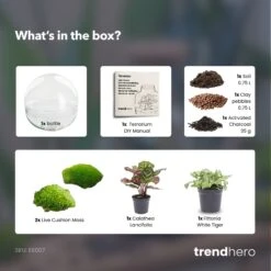 Dome - Two-part Round Glass Terrarium - Bottle Garden DIY Kit - Ø 20 Cm ↑ 20 Cm 10 Dome - Two-part Round Glass Terrarium - Bottle Garden DIY Kit - Ø 20 Cm ↑ 20 Cm -URBAN INGL Shop Dome green terrarium diy bottle garden