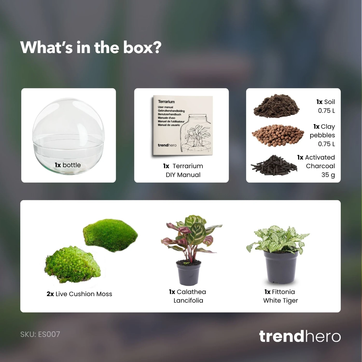 Dome - Two-part Round Glass Terrarium - Bottle Garden DIY Kit - Ø 20 Cm ↑ 20 Cm 6 Dome - Two-part Round Glass Terrarium - Bottle Garden DIY Kit - Ø 20 Cm ↑ 20 Cm - Image 4