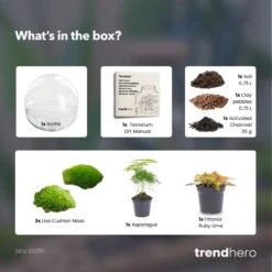 Dome Red - Two-part Round Glass Terrarium - Bottle Garden DIY Kit - Ø 20 Cm ↑ 20 Cm 8 Dome Red - Two-part Round Glass Terrarium - Bottle Garden DIY Kit - Ø 20 Cm ↑ 20 Cm -URBAN INGL Shop Dome red terrarium diy bottle garden