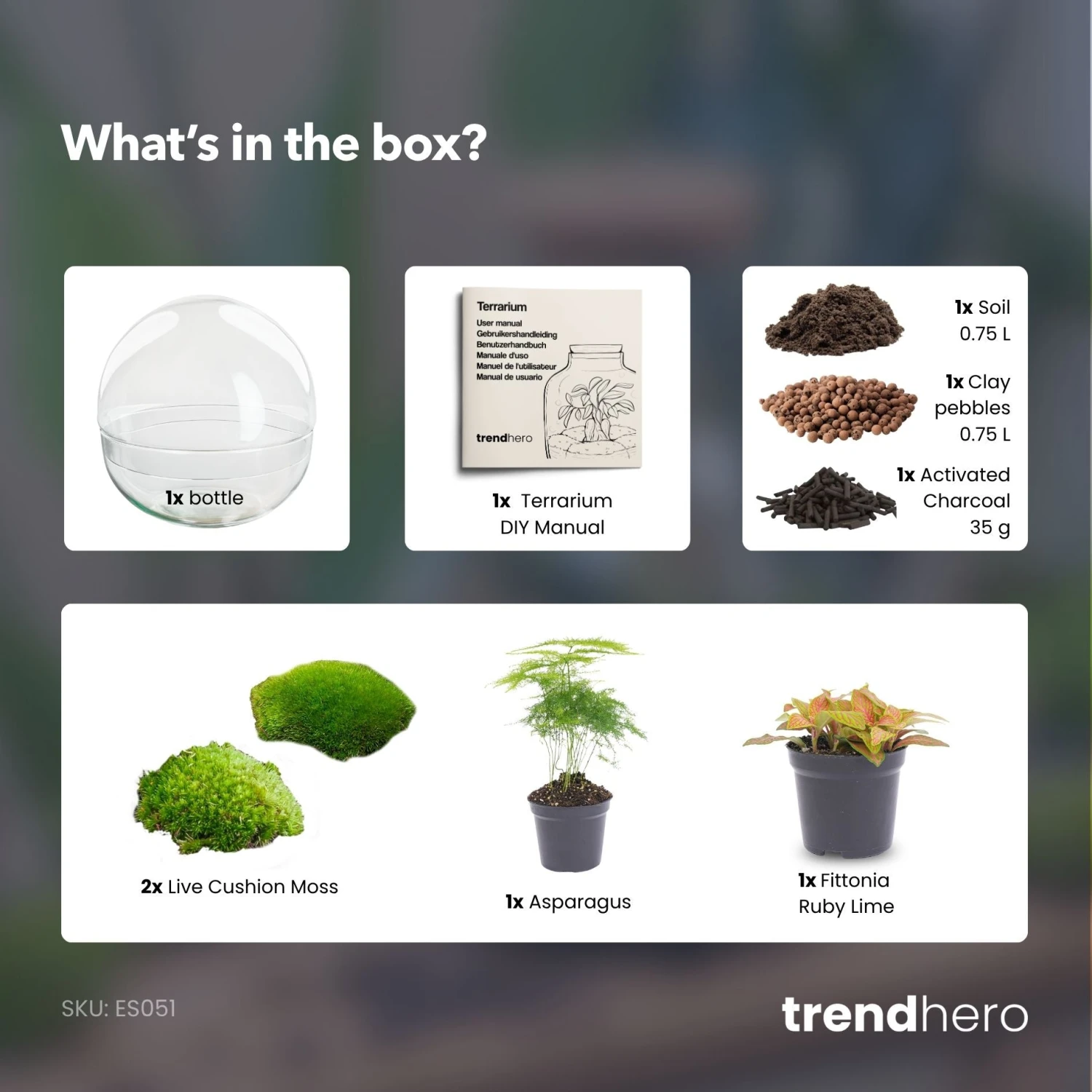 Dome Red - Two-part Round Glass Terrarium - Bottle Garden DIY Kit - Ø 20 Cm ↑ 20 Cm 5 Dome Red - Two-part Round Glass Terrarium - Bottle Garden DIY Kit - Ø 20 Cm ↑ 20 Cm - Image 4