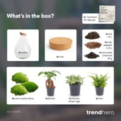 Drop XL Green - Terrarium With Cork - Bottle Garden DIY Kit – Ø 24 Cm ↑ 37 Cm -URBAN INGL Shop Drop XL Bonsai white terrarium diy bottle garden a0881a44 9705 4e06 95b5 a7d275935994