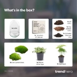 Egg XL - Terrarium - Two-part Glass Dome - Bottle Garden DIY Kit - Ø 17.5 Cm ↑ 30 Cm -URBAN INGL Shop Egg XL green plant terrarium diy bottle garden e41f15e0 4c72 465f 9618 517a0a74c3ad