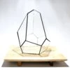 Geometric Terrarium - Jungle Gem - Vivarium - ↑ 16 X 15 X 19,5 Cm (LxWxH) - Glass -URBAN INGL Shop HYPERION 6 8002e294 1330 470e a010 0b5dc8ec988a