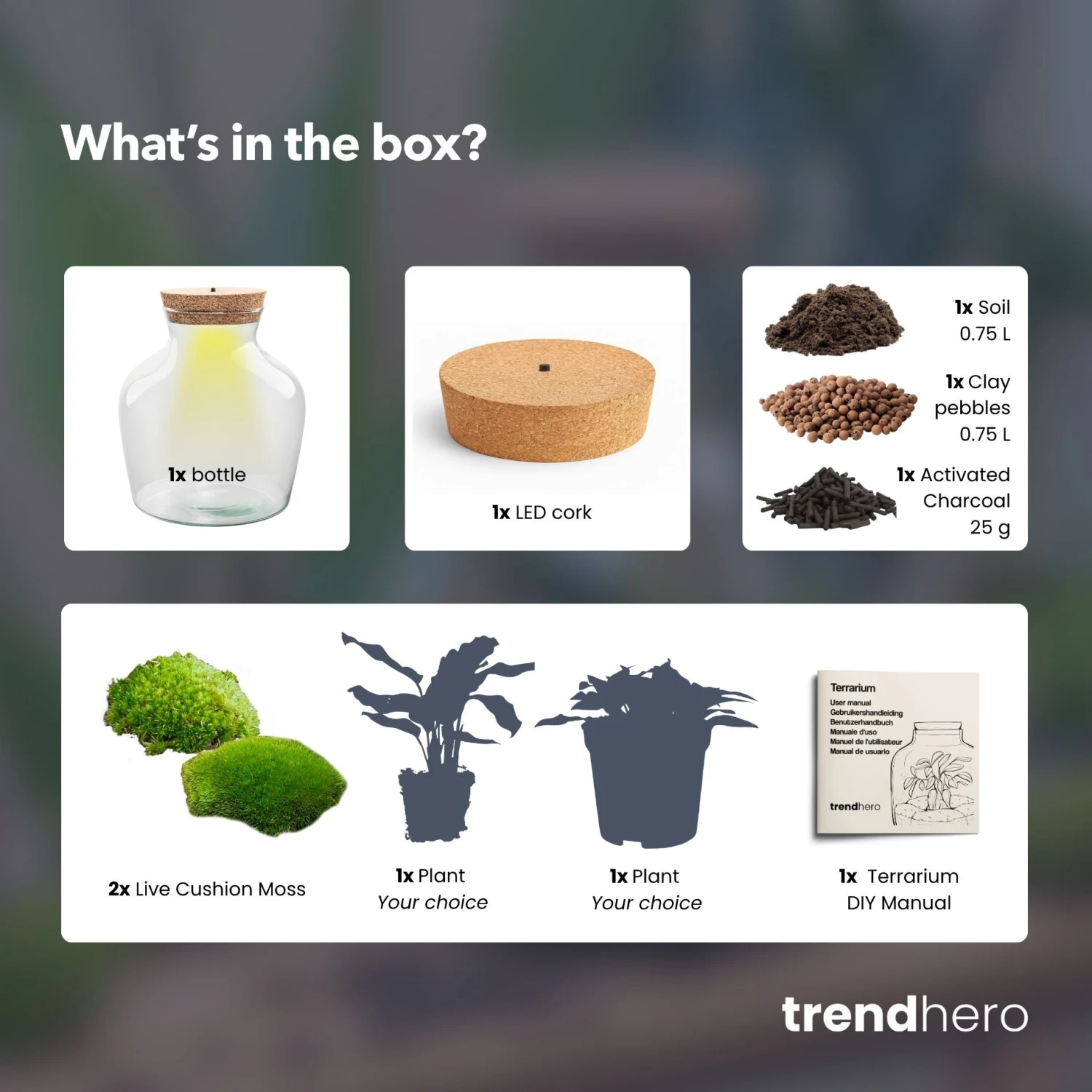 Little Joe - Terrarium With Light - Bottle Garden DIY Kit - Ø 20 Cm ↑ 22 Cm 12 Little Joe - Terrarium With Light - Bottle Garden DIY Kit - Ø 20 Cm ↑ 22 Cm - Image 10