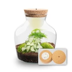 Little Joe - Terrarium With Light - Bottle Garden DIY Kit - Ø 20 Cm ↑ 22 Cm 28 Little Joe - Terrarium With Light - Bottle Garden DIY Kit - Ø 20 Cm ↑ 22 Cm -URBAN INGL Shop Little joe met led verlichting terrarium fles 11