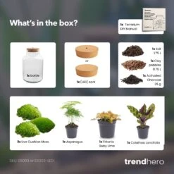 Milky - Terrarium - Bottle Garden DIY Kit - Ø 21 Cm ↑ 30 Cm -URBAN INGL Shop Milky terrarium diy bottle garden 91fffd97 bc08 4056 b086 62d1b096cc8e