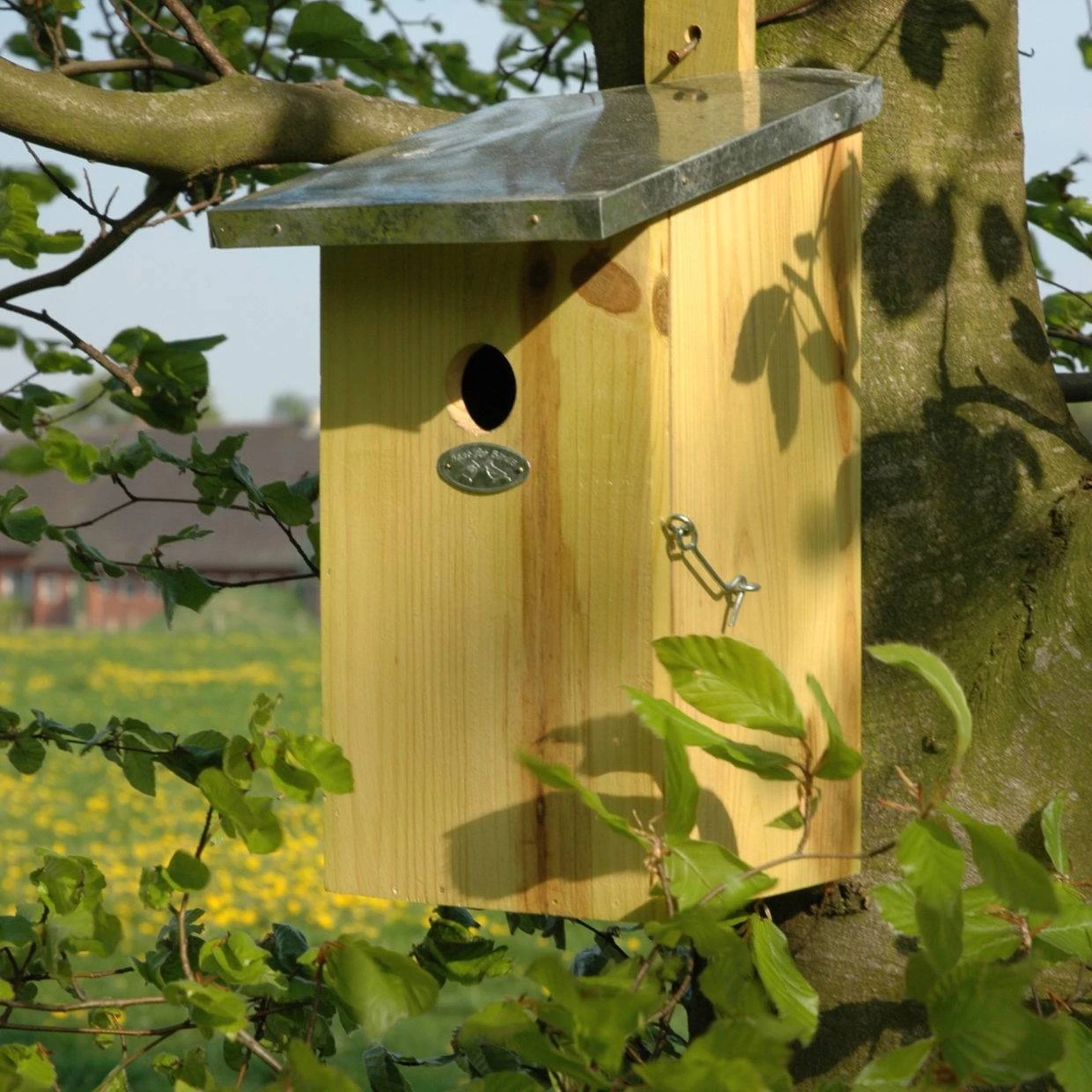 ESSCHERT DESIGN Observation Nesting Box - Birdhouse - Birds & Garden 6 ESSCHERT DESIGN Observation Nesting Box - Birdhouse - Birds & Garden - Image 4