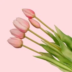 Strawberry Girl Vase + 10x Real Touch Pink Tulips – Silk Artificial Tulips -URBAN INGL Shop RozeWeb1 ac0684a1 1ff3 4c1f 8928 eaa78561f869