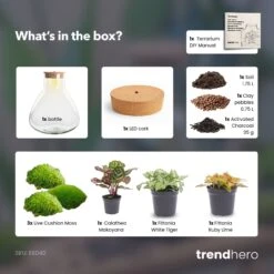 Sam XL Red - Terrarium With Light - Bottle Garden DIY Kit - Ø 30 cm ↑ 32 cm -URBAN INGL Shop SamXL Red terrarium diy bottle garden