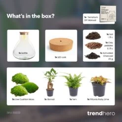 Sam XL Bonsai - Terrarium With Light - Bottle Garden DIY Kit - Ø 30 cm ↑ 32 cm 12 Sam XL Bonsai - Terrarium With Light - Bottle Garden DIY Kit - Ø 30 cm ↑ 32 cm -URBAN INGL Shop SamXL bonsai terrarium diy bottle garden