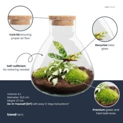 Sammie - Terrarium With Light - Bottle Garden DIY Kit - Ø 22,5 Cm ↑ 27 Cm -URBAN INGL Shop Sammie calathea plant terrarium diy kit info trendhero