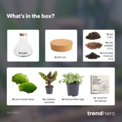 Sammie - Terrarium With Light - Bottle Garden DIY Kit - Ø 22,5 Cm ↑ 27 Cm -URBAN INGL Shop Sammie calathea terrarium diy bottle garden