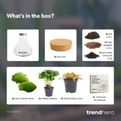 Sammie - Terrarium With Light - Bottle Garden DIY Kit - Ø 22,5 Cm ↑ 27 Cm -URBAN INGL Shop Sammie coffea ruby terrarium diy bottle garden