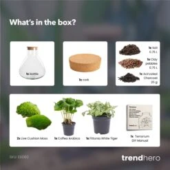 Sammie - Terrarium With Light - Bottle Garden DIY Kit - Ø 22,5 Cm ↑ 27 Cm -URBAN INGL Shop Sammie coffea white terrarium diy bottle garden