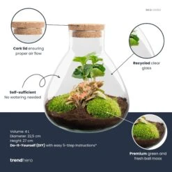 Sammie - Terrarium With Light - Bottle Garden DIY Kit - Ø 22,5 Cm ↑ 27 Cm -URBAN INGL Shop Sammie red coffea plant terrarium diy kit info trendhero