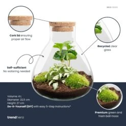 Sammie - Terrarium With Light - Bottle Garden DIY Kit - Ø 22,5 Cm ↑ 27 Cm -URBAN INGL Shop Sammie white coffea plant terrarium diy kit info trendhero