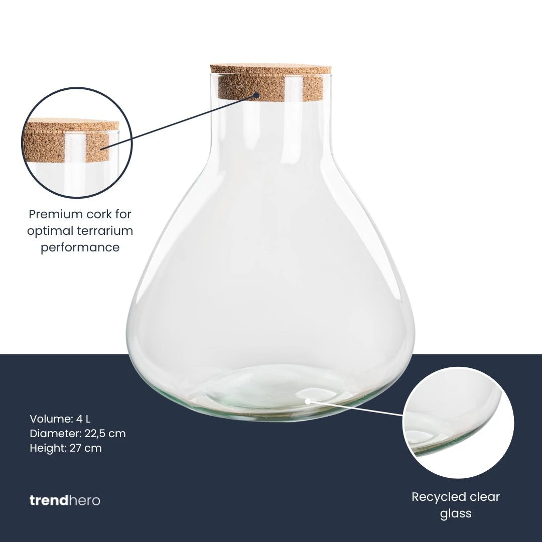 Terrarium Bottle 'Sammie' With Cork - Closed Terrarium Ø 22.5 Cm ↑ 27 Cm 4 Terrarium Bottle 'Sammie' With Cork - Closed Terrarium Ø 22.5 Cm ↑ 27 Cm - Image 2