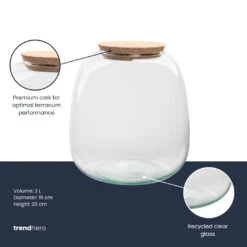 Terrarium Bottle ‘Emma Mini’ With Cork - Closed Terrarium Ø 19 Cm ↑ 20 Cm 6 Terrarium Bottle ‘Emma Mini’ With Cork - Closed Terrarium Ø 19 Cm ↑ 20 Cm -URBAN INGL Shop Terrarium fles trendhero emma mini