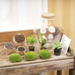 Bolder Bob - Terrarium With Light - Bottle Garden DIY Kit - Ø 31 Cm ↑ 30 Cm 11 Bolder Bob - Terrarium With Light - Bottle Garden DIY Kit - Ø 31 Cm ↑ 30 Cm -URBAN INGL Shop bolder bob flaschengarten kit terrarium