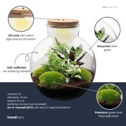 Bolder Bob - Terrarium With Light - Bottle Garden DIY Kit - Ø 31 Cm ↑ 30 Cm 10 Bolder Bob - Terrarium With Light - Bottle Garden DIY Kit - Ø 31 Cm ↑ 30 Cm -URBAN INGL Shop bolder bob plant terrarium diy kit info trendhero