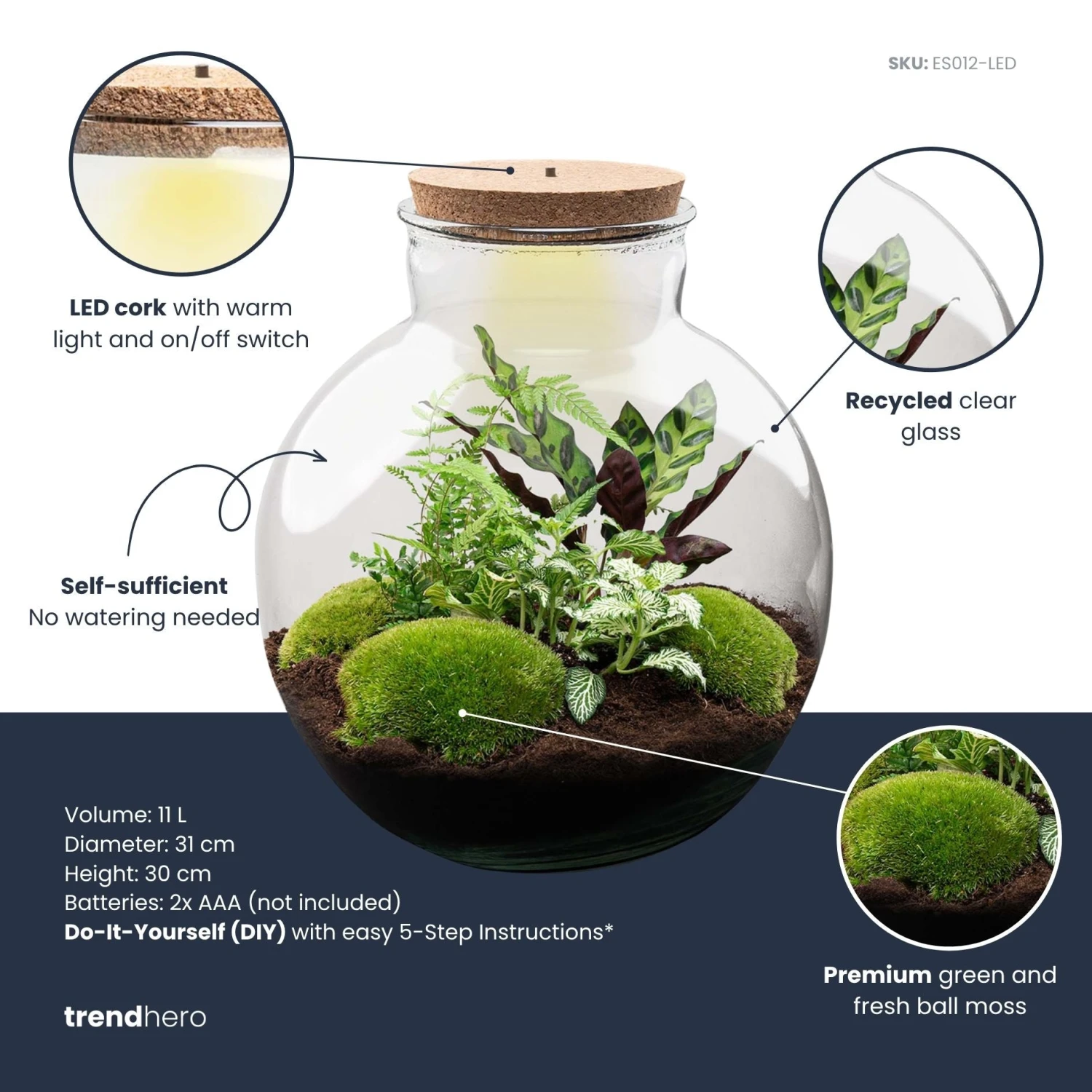 Bolder Bob - Terrarium With Light - Bottle Garden DIY Kit - Ø 31 Cm ↑ 30 Cm 5 Bolder Bob - Terrarium With Light - Bottle Garden DIY Kit - Ø 31 Cm ↑ 30 Cm - Image 3