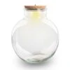 Terrarium Bottle 'Bolder Bob' - Incl. (LED) Cork - Closed Terrarium Ø 30 Cm ↑ 31 Cm 2 Terrarium Bottle 'Bolder Bob' - Incl. (LED) Cork - Closed Terrarium Ø 30 Cm ↑ 31 Cm -URBAN INGL Shop bolder bob terrarium light 2