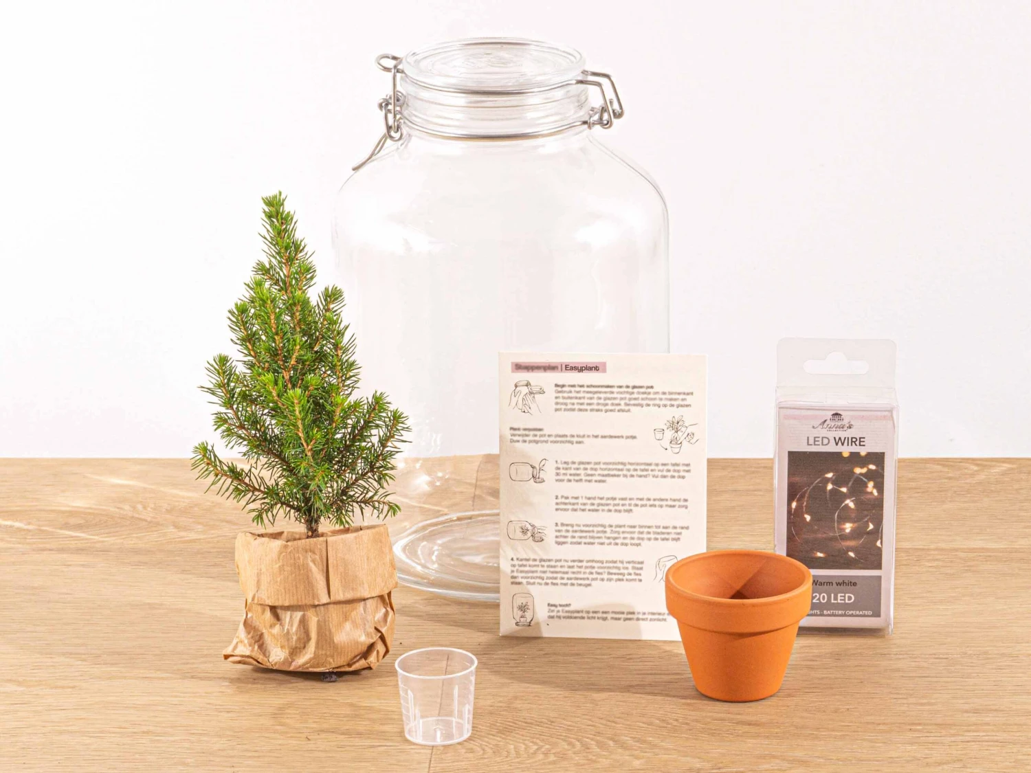 Easyplant - Mini Christmas Tree - DIY Terrarium Kit - ↑ 28 Cm 5 Easyplant - Mini Christmas Tree - DIY Terrarium Kit - ↑ 28 Cm - Image 3