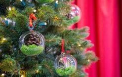 Glass Christmas Ball - Airplant And Reindeer Moss -URBAN INGL Shop christmas glass ball with plant 001