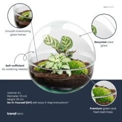Dome - Two-part Round Glass Terrarium - Bottle Garden DIY Kit - Ø 20 Cm ↑ 20 Cm 9 Dome - Two-part Round Glass Terrarium - Bottle Garden DIY Kit - Ø 20 Cm ↑ 20 Cm -URBAN INGL Shop dome plant terrarium diy kit info trendhero