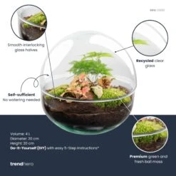 URBAN INGL Shop -URBAN INGL Shop dome rood plant terrarium diy kit info trendhero