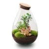 Drop XL Red - Terrarium With Cork - Bottle Garden DIY Kit – Ø 24 Cm ↑ 37 Cm