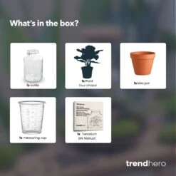 Easyplant - Fido Terrarium Jar - Bottle Garden DIY Kit - Ø 18 Cm ↑ 28 Cm 14 Easyplant - Fido Terrarium Jar - Bottle Garden DIY Kit - Ø 18 Cm ↑ 28 Cm -URBAN INGL Shop easyplant choose plant terrarium diy bottle garden