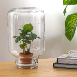 Easyplant - Fido Terrarium Jar - Bottle Garden DIY Kit - Ø 18 Cm ↑ 28 Cm 21 Easyplant - Fido Terrarium Jar - Bottle Garden DIY Kit - Ø 18 Cm ↑ 28 Cm -URBAN INGL Shop easyplant koffieplant 2c44bf96 a74e 46bd 84ae 4aaed82a6bc9