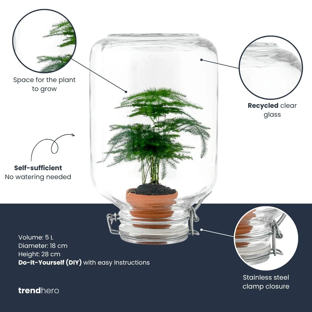Easyplant - Fido Terrarium Jar - Bottle Garden DIY Kit - Ø 18 Cm ↑ 28 Cm 4 Easyplant - Fido Terrarium Jar - Bottle Garden DIY Kit - Ø 18 Cm ↑ 28 Cm - Image 2