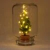 Easyplant - Mini Christmas Tree - DIY Terrarium Kit - ↑ 28 Cm 1 Easyplant - Mini Christmas Tree - DIY Terrarium Kit - ↑ 28 Cm -URBAN INGL Shop easyplant verlichting kerstboom
