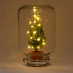 Easyplant - Mini Christmas Tree - DIY Terrarium Kit - ↑ 28 Cm