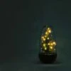 Egg Christmas - Plant Terrarium With Christmas Tree And Lighting - ↑ 25 Cm 1 Egg Christmas - Plant Terrarium With Christmas Tree And Lighting - ↑ 25 Cm -URBAN INGL Shop egg christmas sfeer