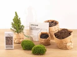 Egg Christmas - Plant Terrarium With Christmas Tree And Lighting - ↑ 25 Cm -URBAN INGL Shop egg terrarium glas christmas flaschengarten