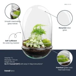 Egg XL - Terrarium - Two-part Glass Dome - Bottle Garden DIY Kit - Ø 17.5 Cm ↑ 30 Cm -URBAN INGL Shop egg xl plant terrarium diy kit info trendhero