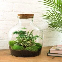 Fat Joe Green - Terrarium With Light - Bottle Garden DIY Kit - Ø 29 Cm ↑ 30 Cm 10 Fat Joe Green - Terrarium With Light - Bottle Garden DIY Kit - Ø 29 Cm ↑ 30 Cm -URBAN INGL Shop fat joe green terrarium met planten in fles f76dc20b be25 4a25 bc4f 414a42e46767