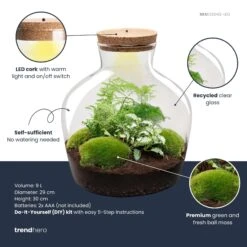 Fat Joe Green - Terrarium With Light - Bottle Garden DIY Kit - Ø 29 Cm ↑ 30 Cm 9 Fat Joe Green - Terrarium With Light - Bottle Garden DIY Kit - Ø 29 Cm ↑ 30 Cm -URBAN INGL Shop fatjoe green plant terrarium diy kit info trendhero b99fd343 a730 494d 9ecb 3934aaf20695