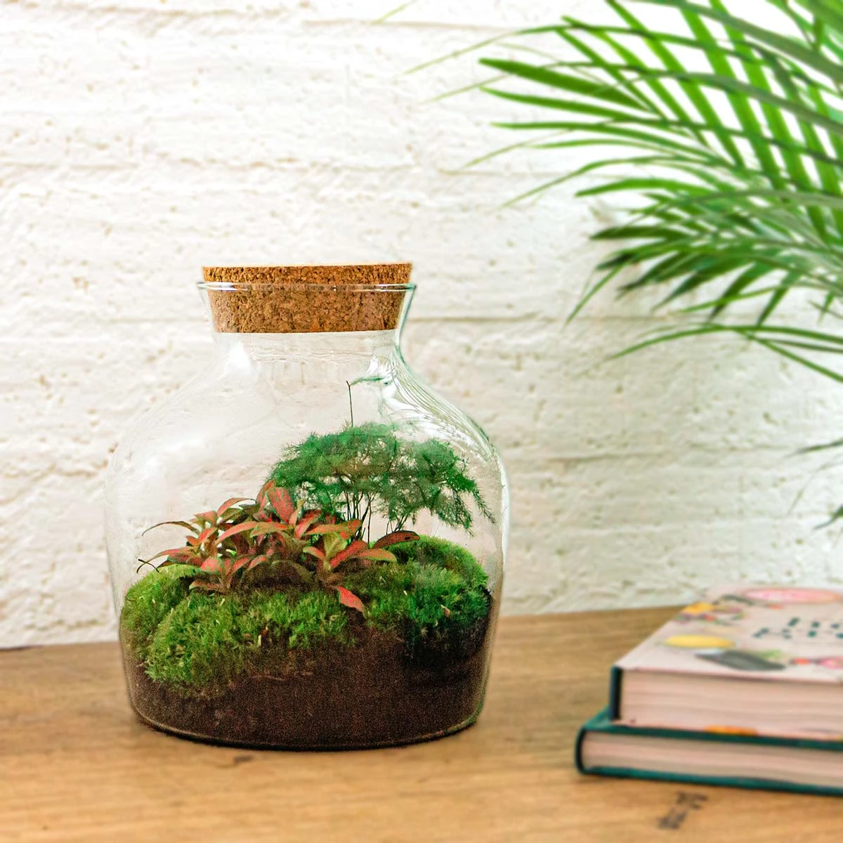 Little Joe - Terrarium With Light - Bottle Garden DIY Kit - Ø 20 Cm ↑ 22 Cm 11 Little Joe - Terrarium With Light - Bottle Garden DIY Kit - Ø 20 Cm ↑ 22 Cm - Image 9
