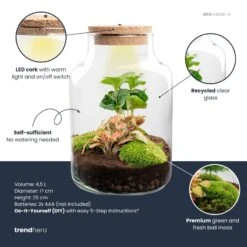 Little Milky - Terrarium With Light - Bottle Garden DIY Kit - Ø 17 Cm ↑ 25 Cm -URBAN INGL Shop little milky red coffea plant terrarium diy kit info trendhero